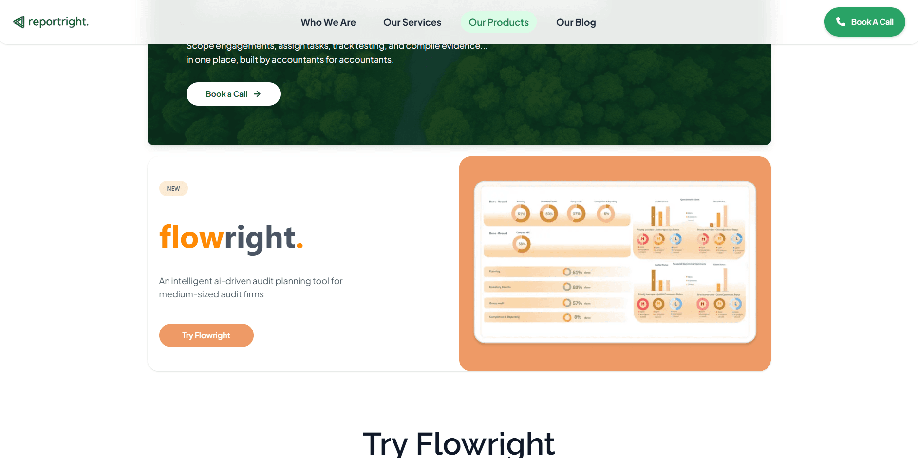 Report Right showcase 13